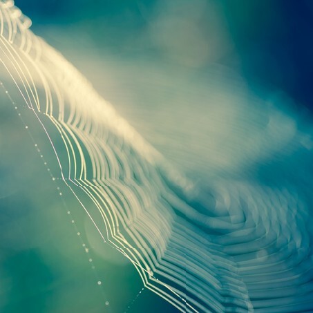 Soft blur natural background nature